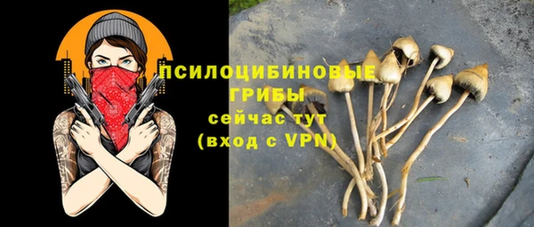 бошки Богородск