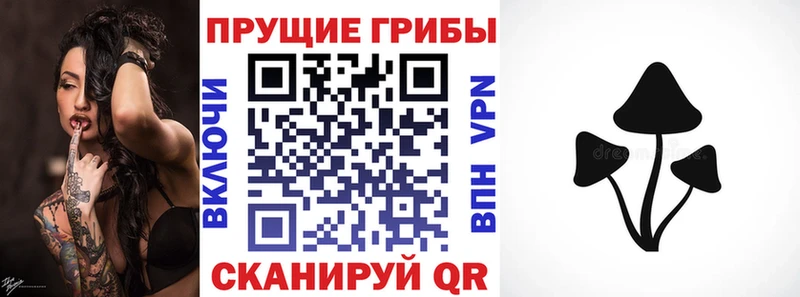 дарк нет клад  omg ONION  Сердобск  цена наркотик  Галлюциногенные грибы Psilocybe 