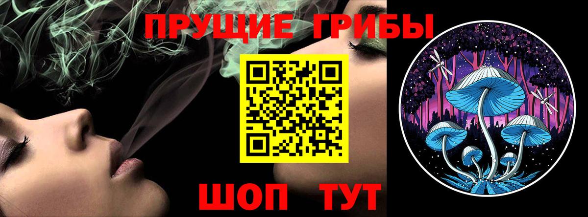 Галлюциногенные грибы GOLDEN TEACHER Сердобск